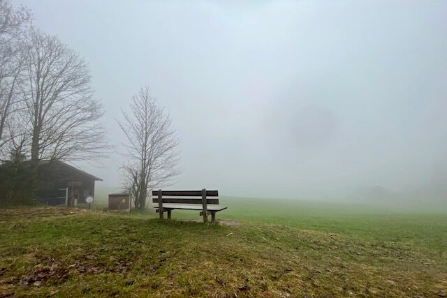 Auf einen einsamen Weide steht eine verlassene Bank im Nebel