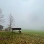 Auf einen einsamen Weide steht eine verlassene Bank im Nebel