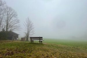 Auf einen einsamen Weide steht eine verlassene Bank im Nebel