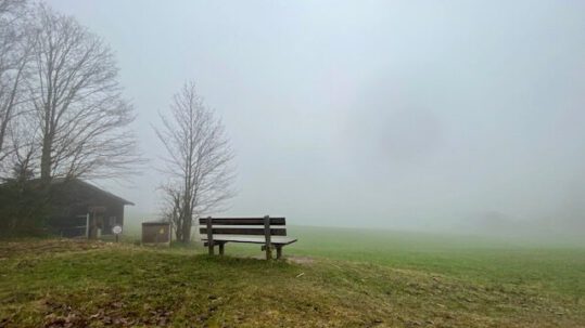 Auf einen einsamen Weide steht eine verlassene Bank im Nebel
