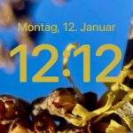 Bild vom Display auf 12:12 Hintergrund blau mit Zaubernussblüte
